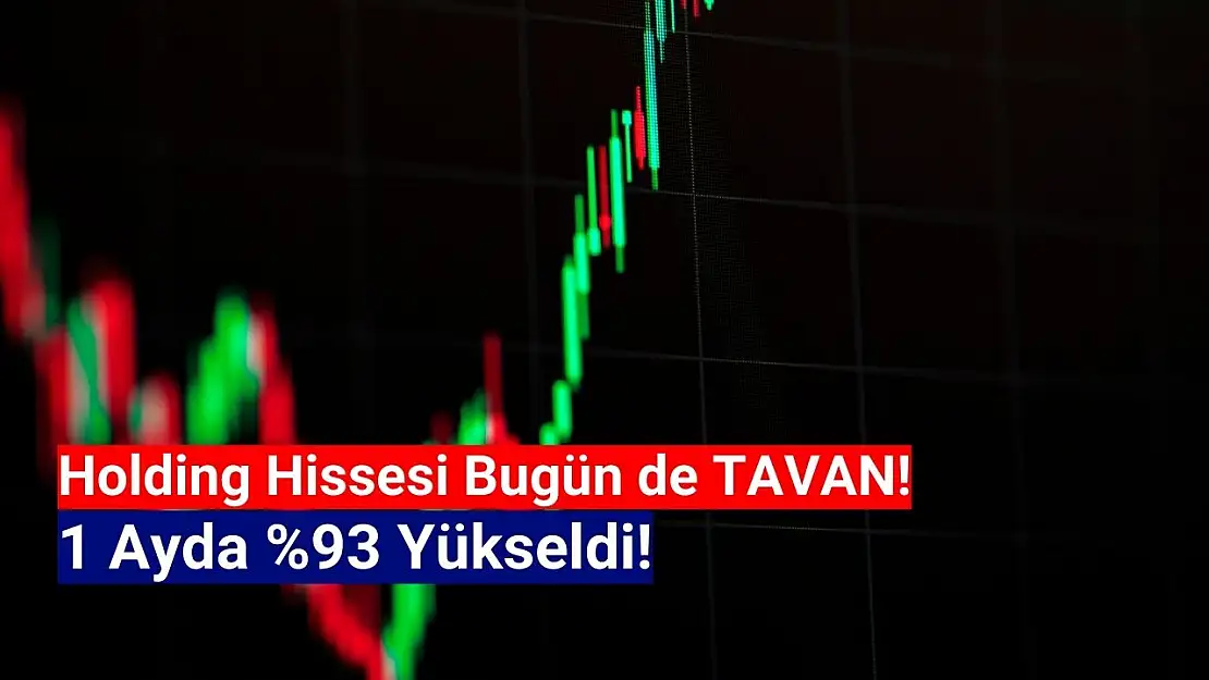 Bu hisse 1 ayda yüzde 93 yükseldi!