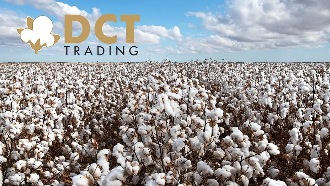 DCT Trading Dış Ticaret'ten (DCTTR) dev ihracat!