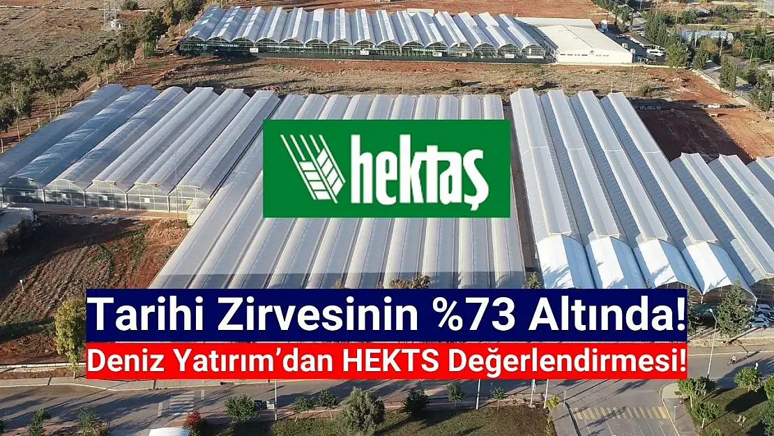 Deniz Yatırım'dan Hektaş (HEKTS) hisse değerlendirmesi!