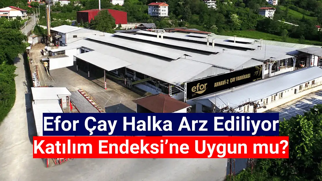 Efor Çay (EFORC) Katılım Endeksi'ne uygun mu, hisse caiz mi, helal mi?