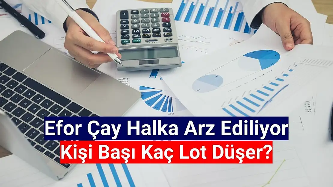 Efor Çay (EFORC) kişi başı kaç lot düşer?