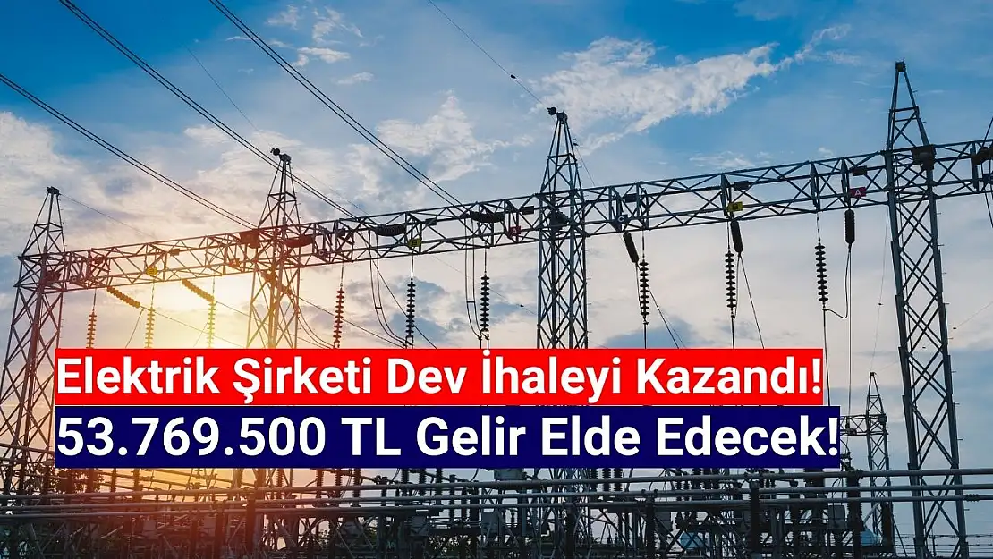 Elektrik şirketi dev ihaleyi kazandı!