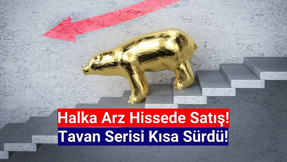 Halka arz hissede tavan serisi kısa sürdü!