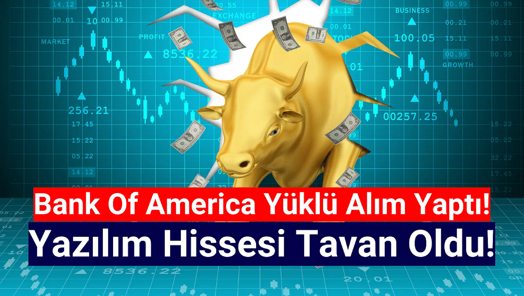 14 TL'den yükselişe geçen yazılım hissesi, 164 TL'yi gördü!