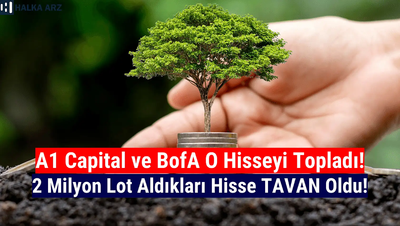 A1 Capital ve BofA 2 milyon lot aldı! Hisse tavan oldu!