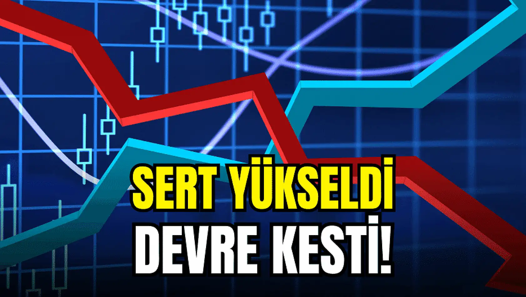 İki ayda %180 yapan hissede devre kesici çalıştı!