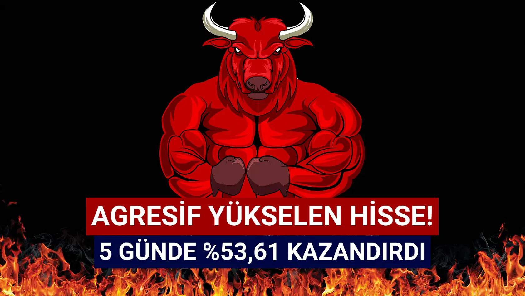 Sadece 5 günde yüzde 53,61 ile en çok yükselen hisse oldu!