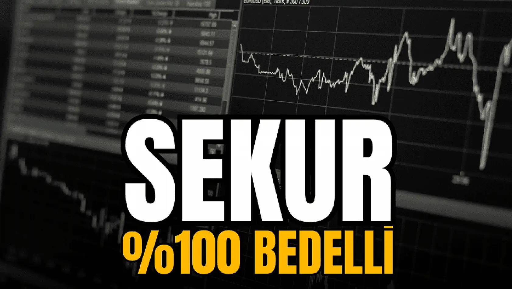 SEKUR yüzde 100 bedelli sermaye artırımı ne zaman?