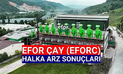 Efor Çay halka arz sonuçları açıklandı! EFORC kaç lot verdi?