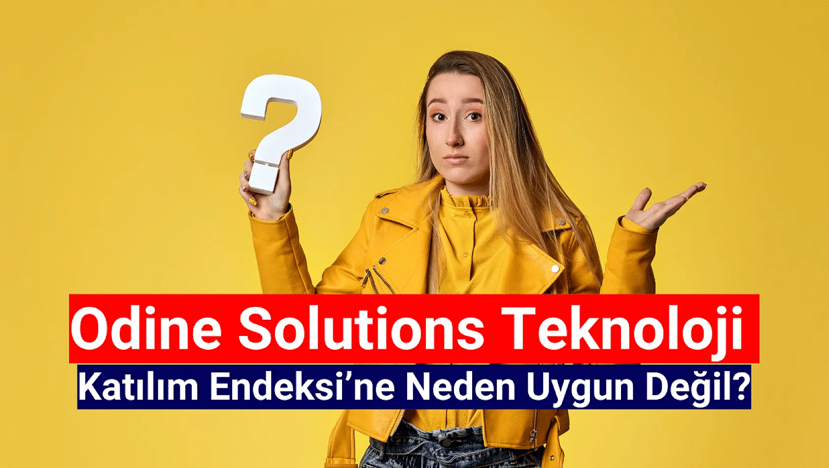 Odine Solutions Teknoloji katılım endeksine neden uygun değil?